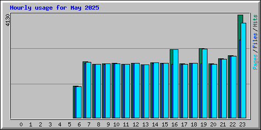 Hourly usage for May 2025