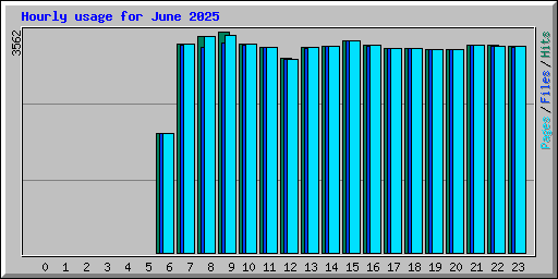 Hourly usage for June 2025