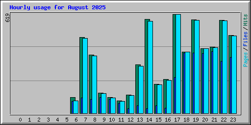 Hourly usage for August 2025