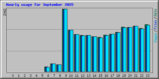 Hourly usage for September 2025