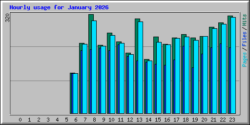 Hourly usage for January 2026